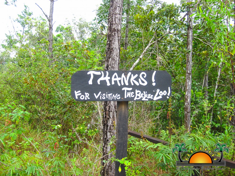 The-Belize-Zoo-25