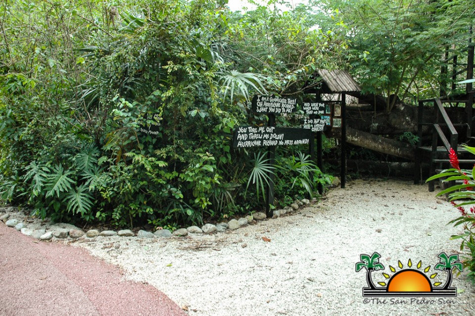 The-Belize-Zoo-3