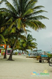 Caye Caulker General Shots-13