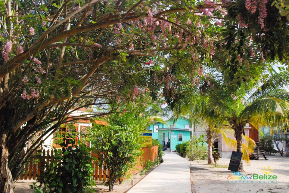 Placencia Sidewalk Art Festival 2013-44