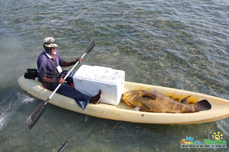 Giant-Grouper-Catch-1