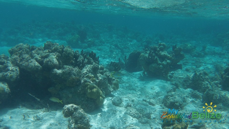 Blue Hole Dive 27