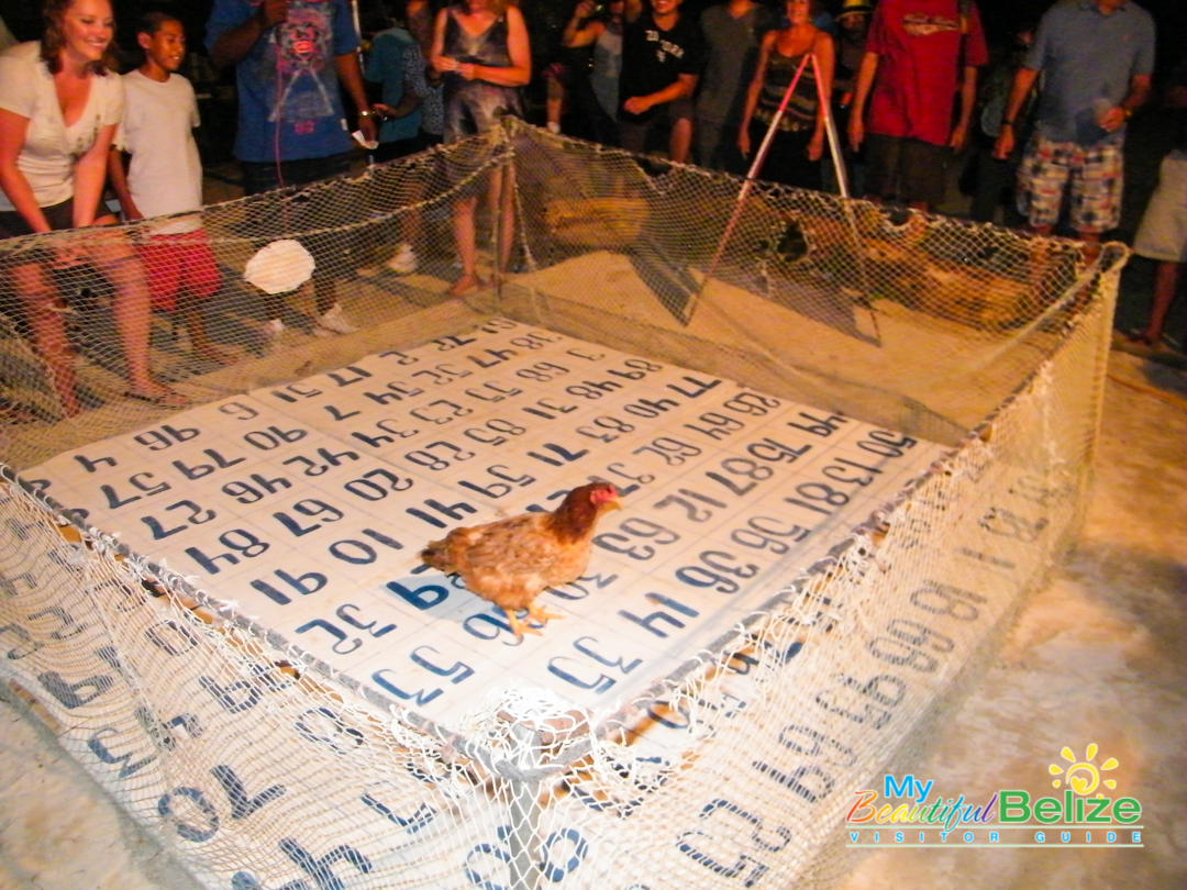 Counting the ways to spend your days on Ambergris Caye Chicken Drop (5) My Beautiful Belize