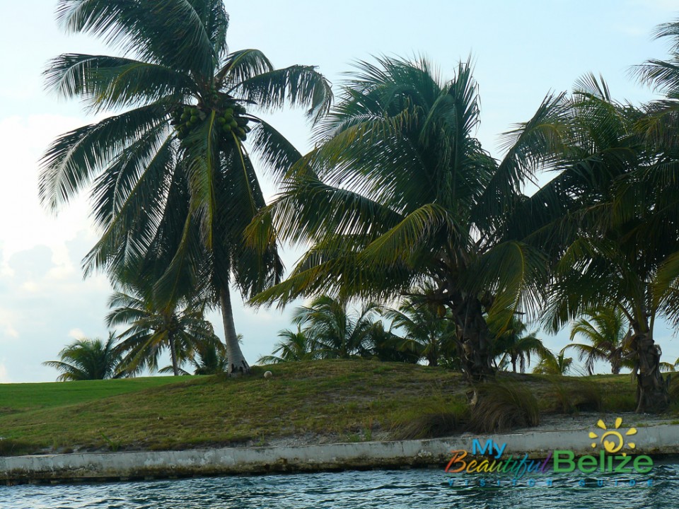 St. George's Caye 6