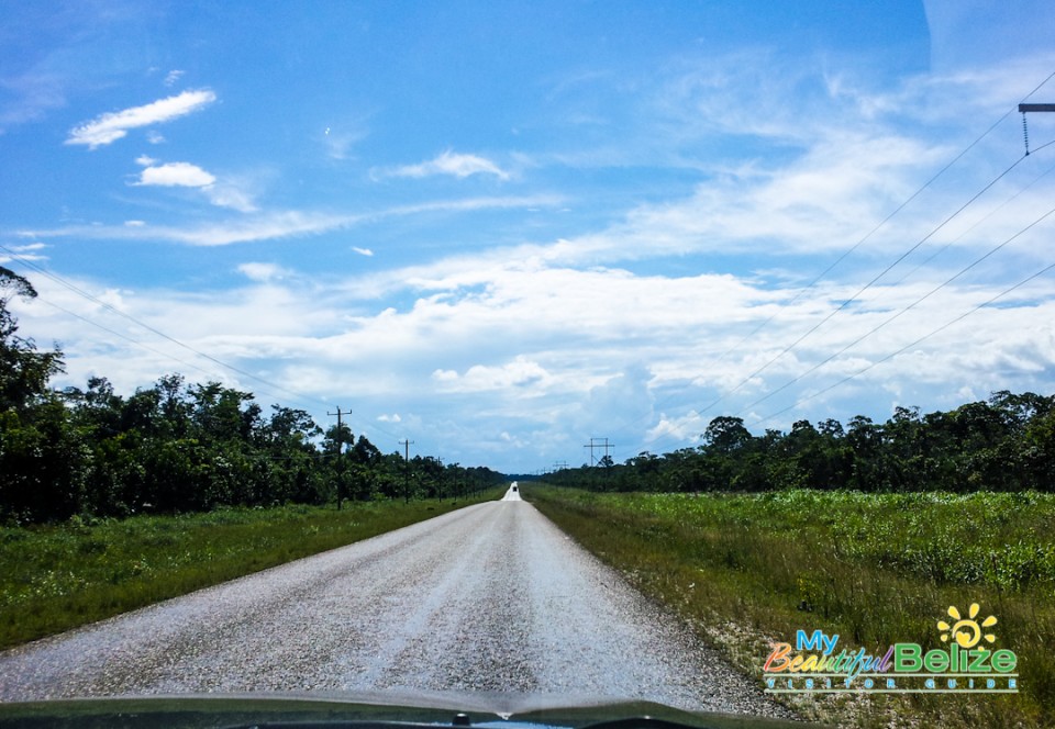 Jungle Adventure Belize-1