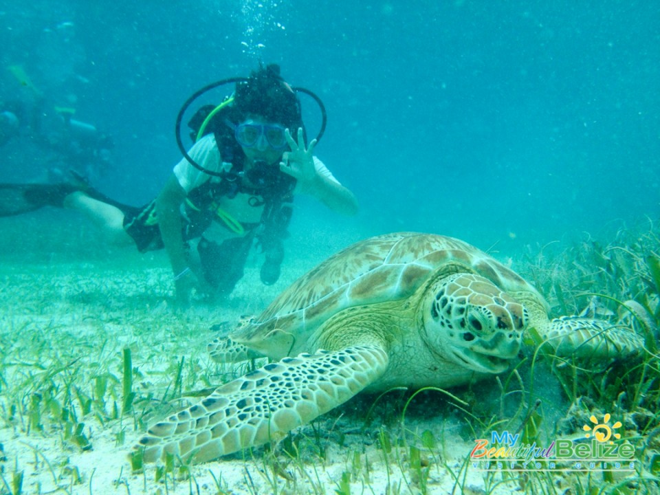 Reef Adventure Belize-10