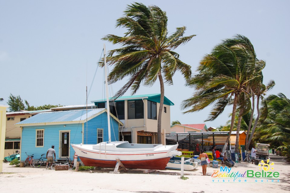 Caye Caulker Lobster Fest-6