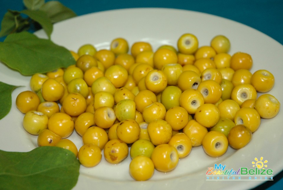 Craboo Treats - My Beautiful Belize