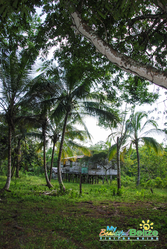 Backroads Belize Village Explore Howler Monkey Resort-12