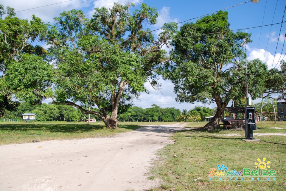 Backroads Belize Village Explore Howler Monkey Resort-15