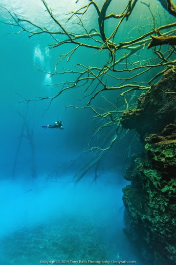 Cara Blanca Pools