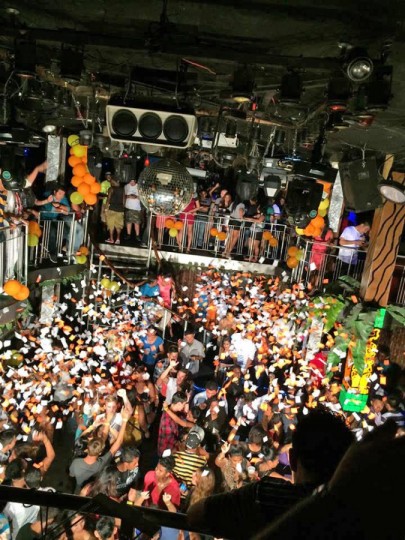 San pedro alano club essay contest 07 image