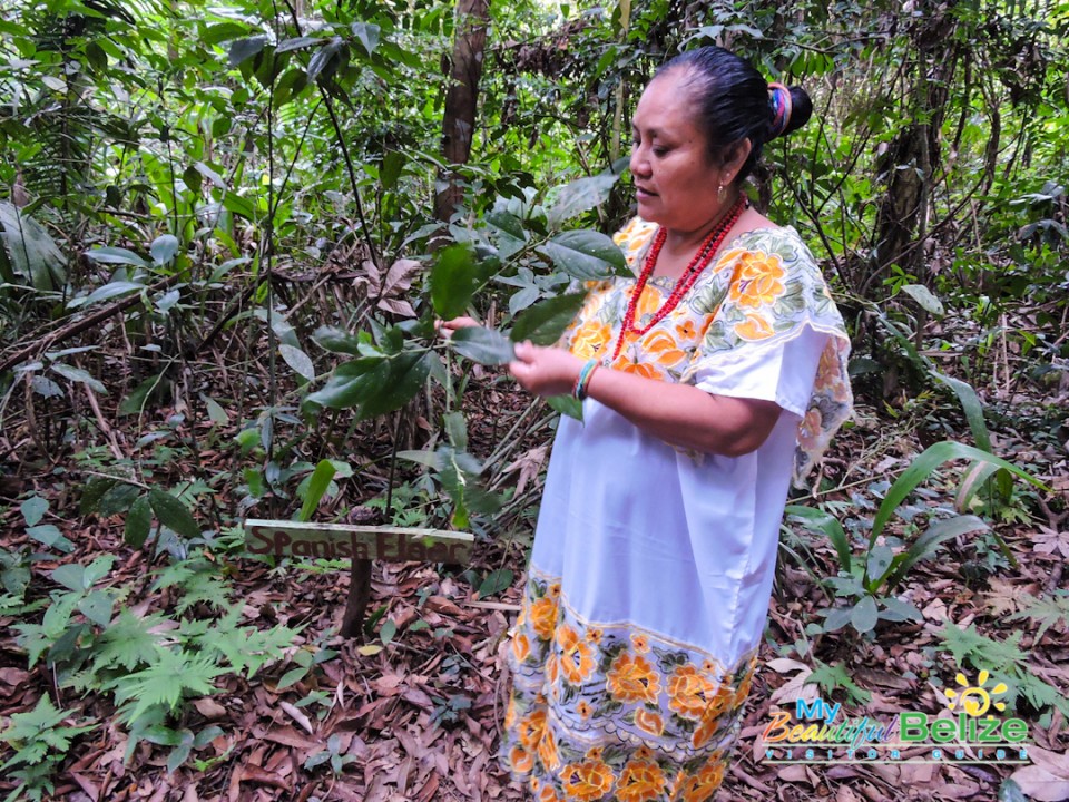 Aurora Garcia Saqui Maya Healer-3