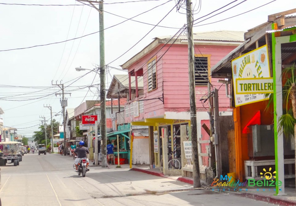 Back Street Bustle- Angel Coral Street-6