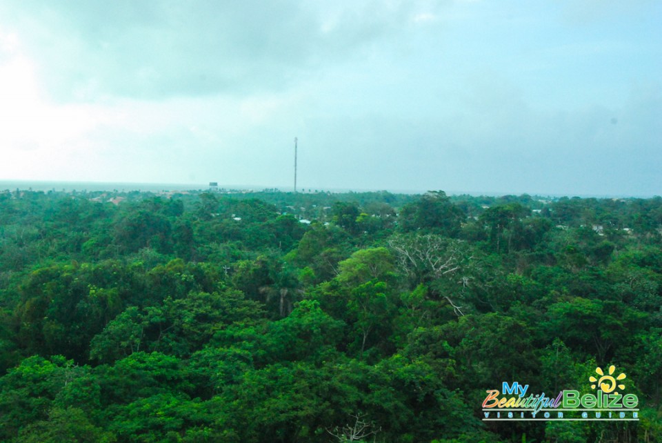Tropic Air Flight Mountains Cayes Air View-1