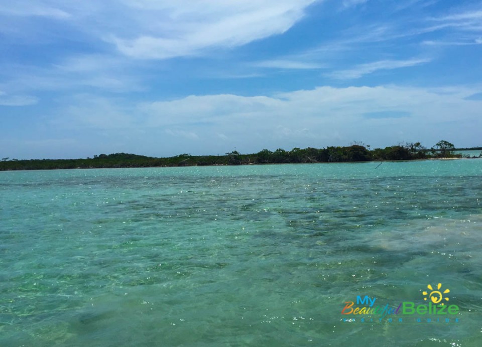 Leeward Coast of Ambergris Caye-2