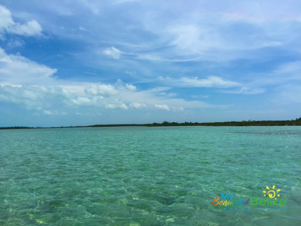 Leeward Coast of Ambergris Caye-3