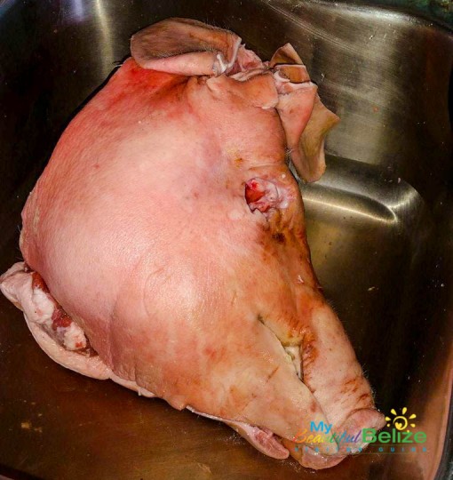 Pork Head Carnitas-8