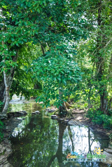 Toledo Villages Creeks Roads-19