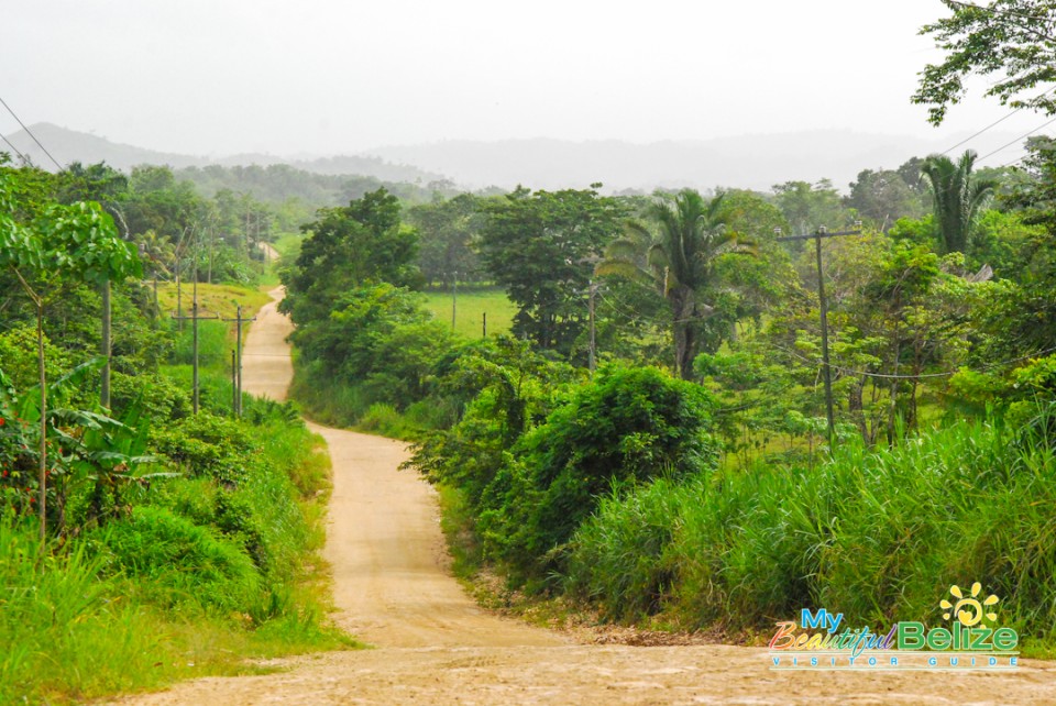 Toledo Villages Creeks Roads-7