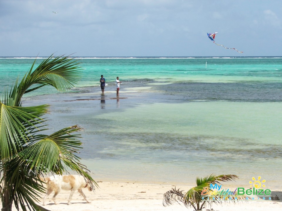 Wind Play Sailing Surfing Parasailing-1