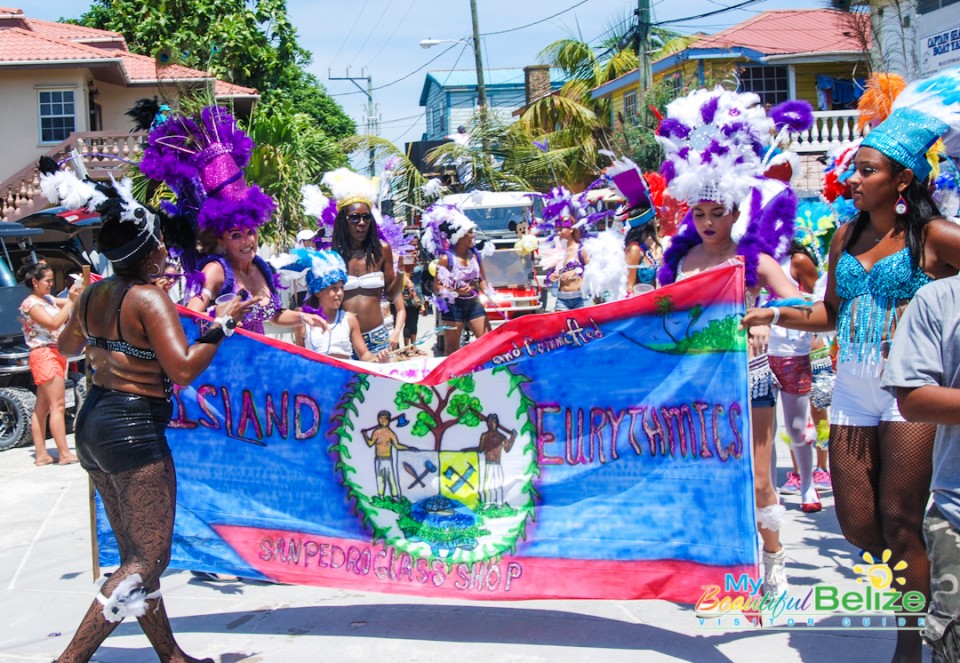 Belize National Flag (2)