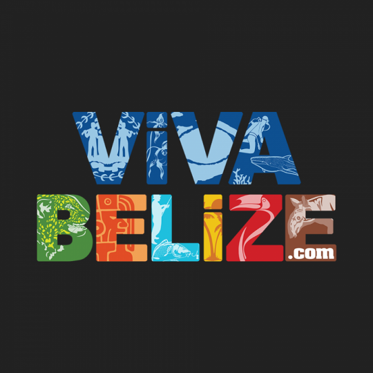 Viva Belize Logo