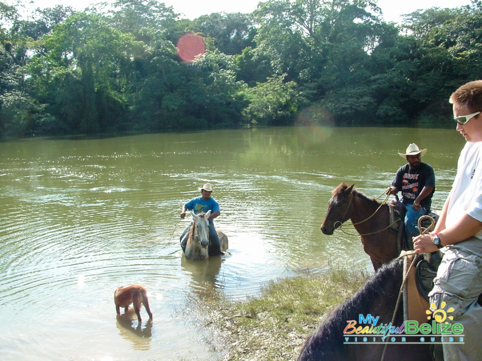 Travel Transportation Bus Boat Bike Burro-1