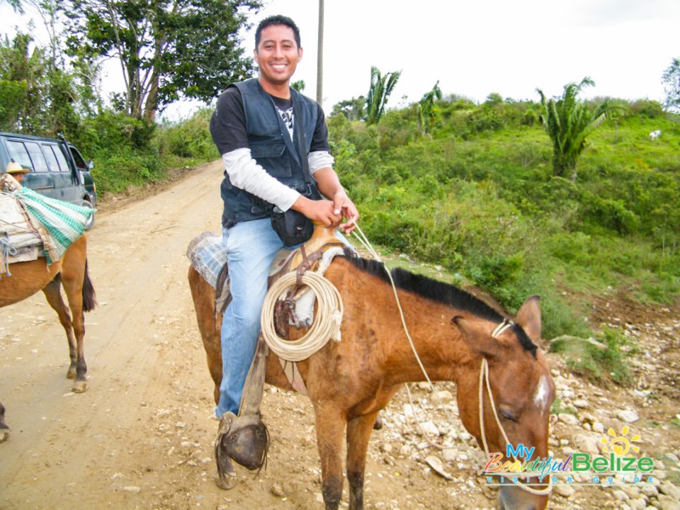 Travel Transportation Bus Boat Bike Burro-6