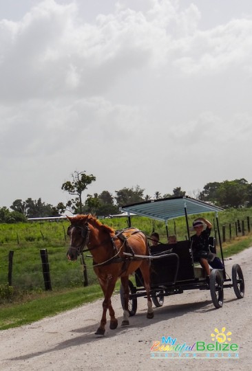 shipyard-mennonite-community-orange-walk-3