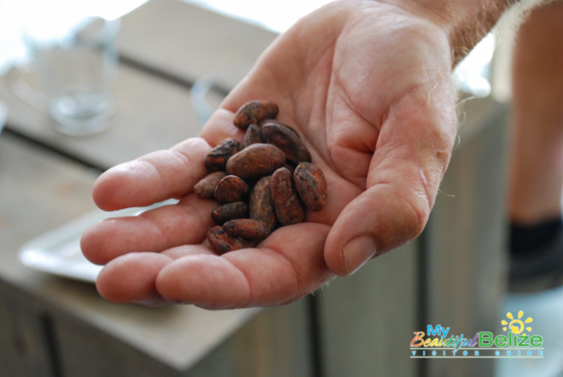 belize-chocolate-making-class-kakaw-11