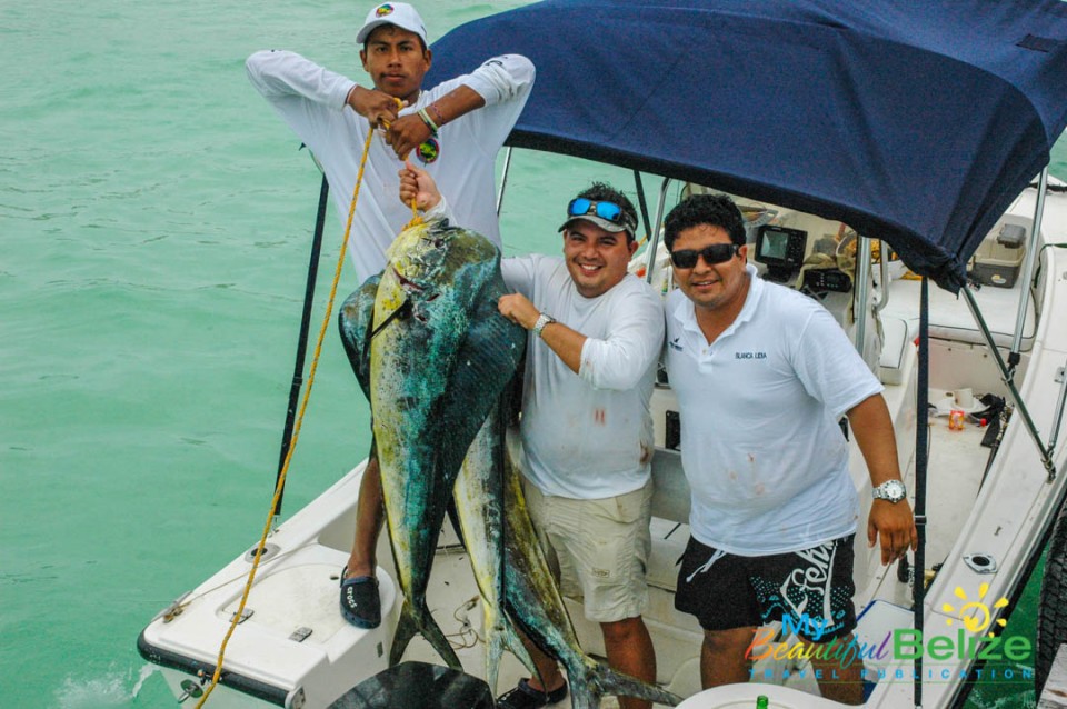 Spear fishing - Picture of Belize Diving Adventures, Ambergris