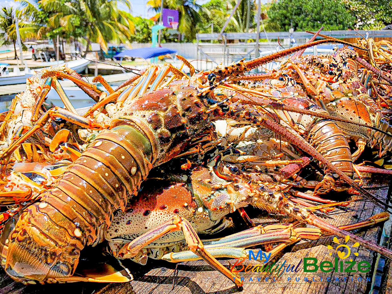 Three Destinations Where will you celebrate Lobster Fest? My