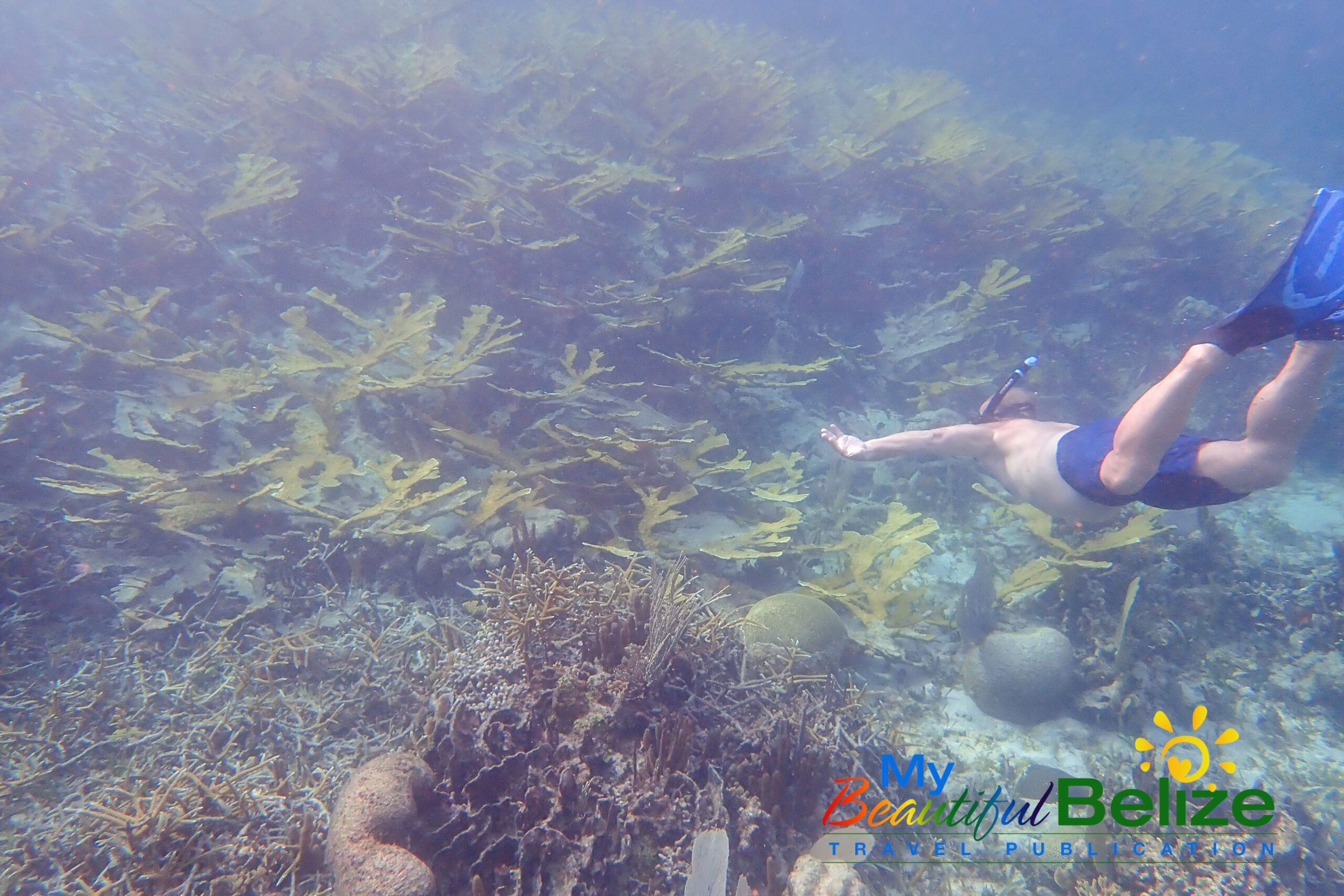 Snorkeling 101: Be prepared for your aquatic adventure! - My Beautiful ...