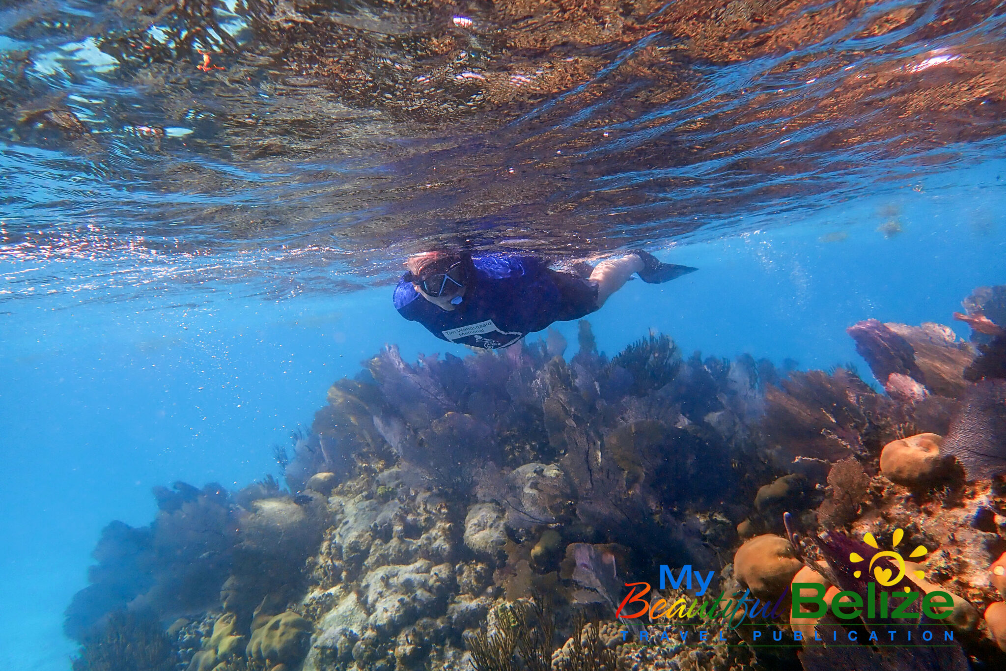 Snorkeling 101: Be prepared for your aquatic adventure! - My Beautiful ...