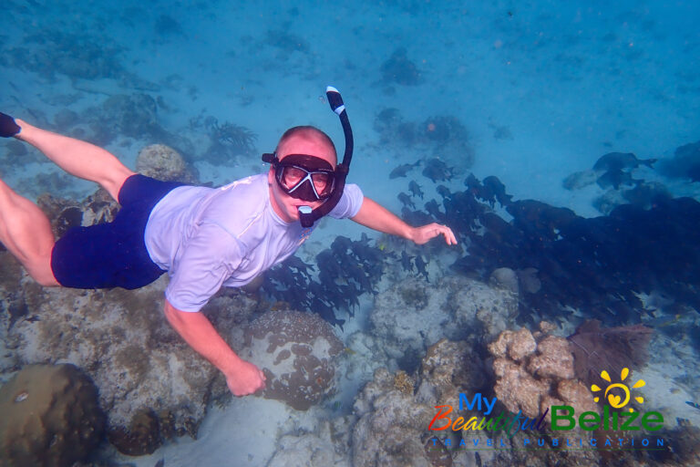 Snorkeling 101: Be prepared for your aquatic adventure! - My Beautiful ...