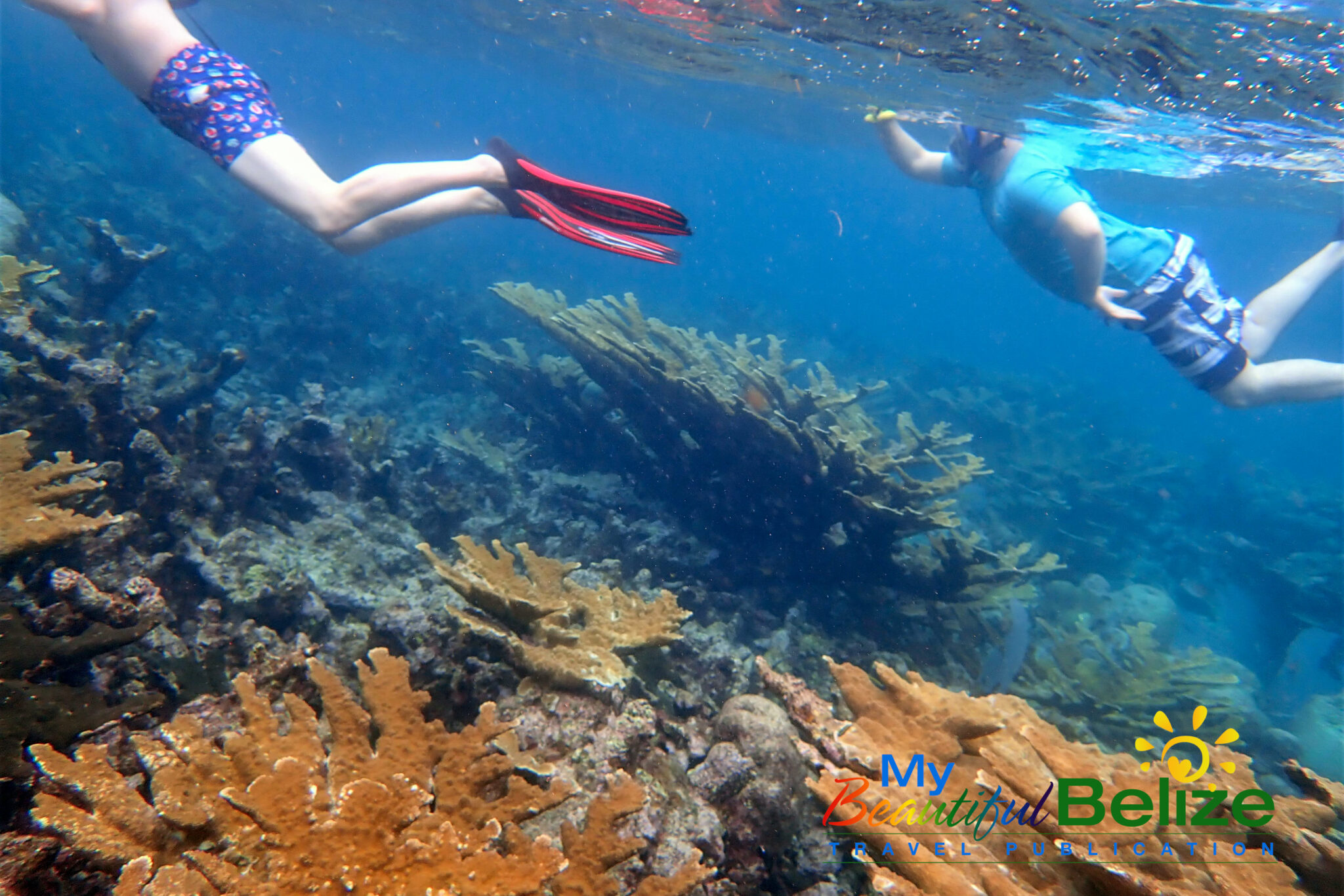 Snorkeling 101: Be prepared for your aquatic adventure! - My Beautiful ...